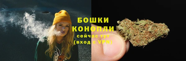 гидропоника Карпинск