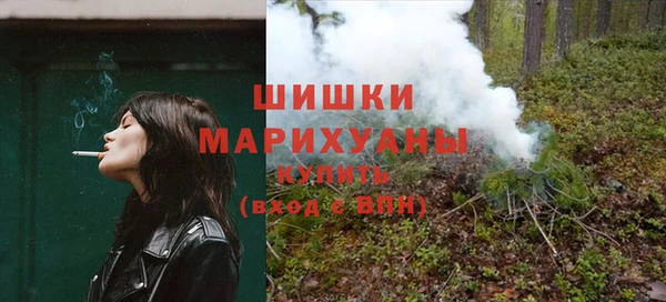 ГАЛЛЮЦИНОГЕННЫЕ ГРИБЫ Карталы