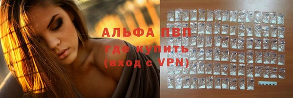 ГАЛЛЮЦИНОГЕННЫЕ ГРИБЫ Карталы