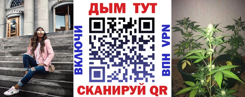 Марихуана индика  Курчатов 